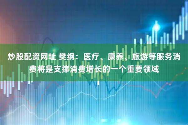 炒股配资网址 樊纲：医疗、康养、旅游等服务消费将是支撑消费增长的一个重要领域